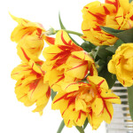 web-bydleni_v_novem_9