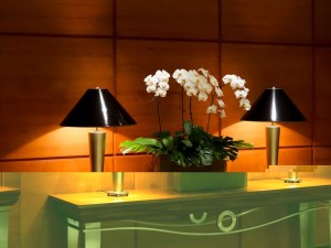 Stylish interior decor