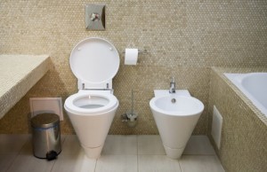 Bidet-a-jeho-alternativy-2