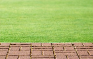 lawn and blocks