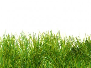 green lush artificial grass