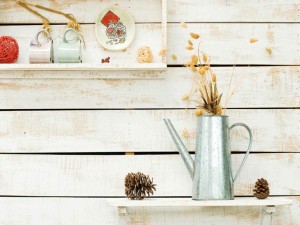 Plants on white rough wooden wall as Decoration