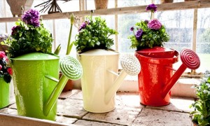 Garden - Watering can