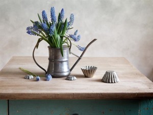 Still life with grape hyacinths