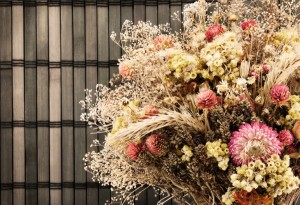 Dry flowers.