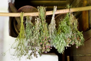 bunches of dried healing herbs