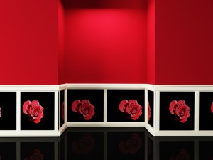 empty room in contrast colors