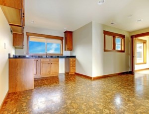 Small kitche in mother-in-low apartment. New luxury home interior.