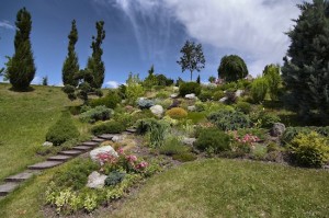 ornamental garden