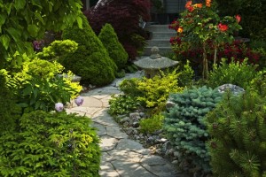 Garden path with stone landscaping