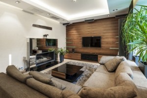 Modern living room with fireplace