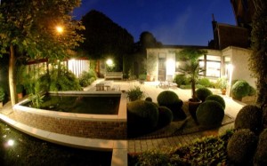garden by night