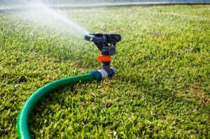 Sprinkler