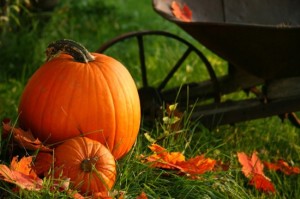 Halloween i u vas doma 1
