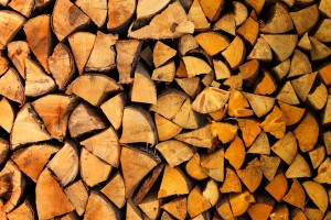 Pile of wood logs ready for winter