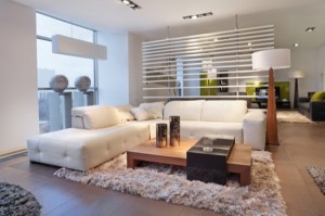 The living room