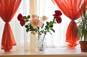 bouquet of roses on window sill