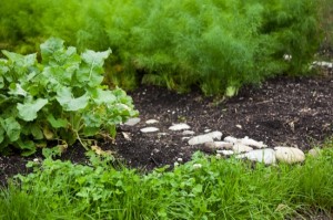 Little organic/bio/permaculture garde