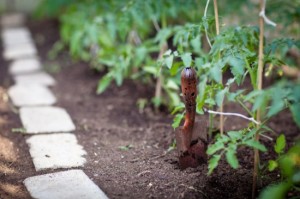 ittle organic/bio/permaculture garden
