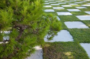area in the form of chess in the Japanese garden
