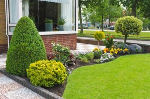 Small garden in front of the Dutch house. Netherlands