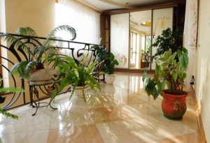 Hall interior