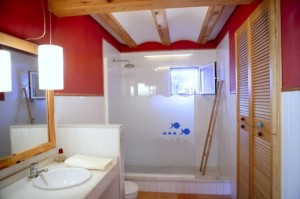 Red wall nice bathroom natural light interior