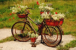 Old Bike