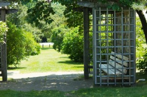 Gazebo with bench in a garden