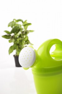 Watering can