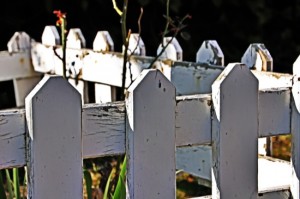 wooden fence in garden