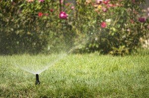 Watering the garden