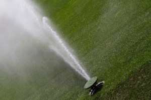 Sprinkler washing green grasses
