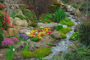 Rock Garden