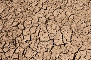 Dry Earth