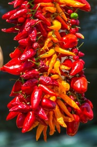 jak na pestovani chilli papricek 1