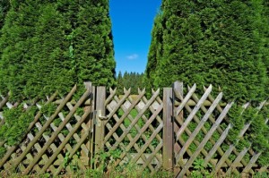 Wooden Gate