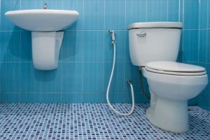 WC misy 3
