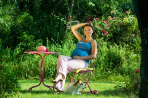 Jak a cim nechat rozkvest misto k  posezeni v zahrade 2