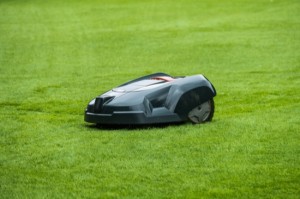 Vyzente na travnik robotickou sekacku 1