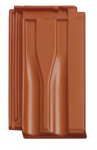 Brnenka14_en_cervena_N