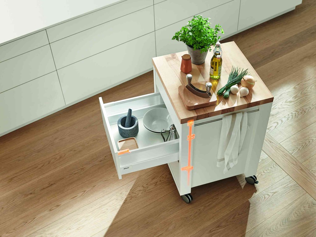 Blum_cab0020_3